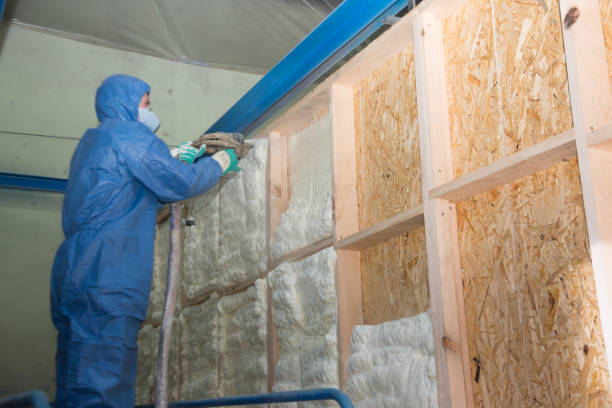 Best Insulation Replacement Services  in Spout Springs, NC