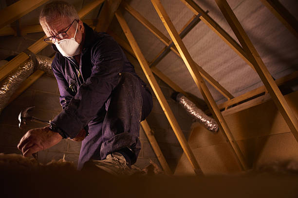 Best Insulation for New Construction  in Spout Springs, NC